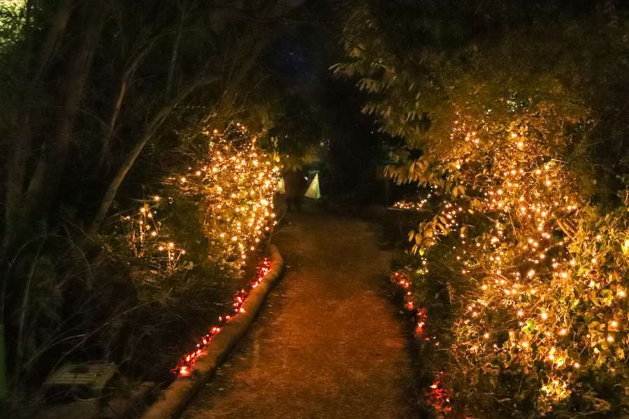 John Hall Wellness Gardens Christmas 1