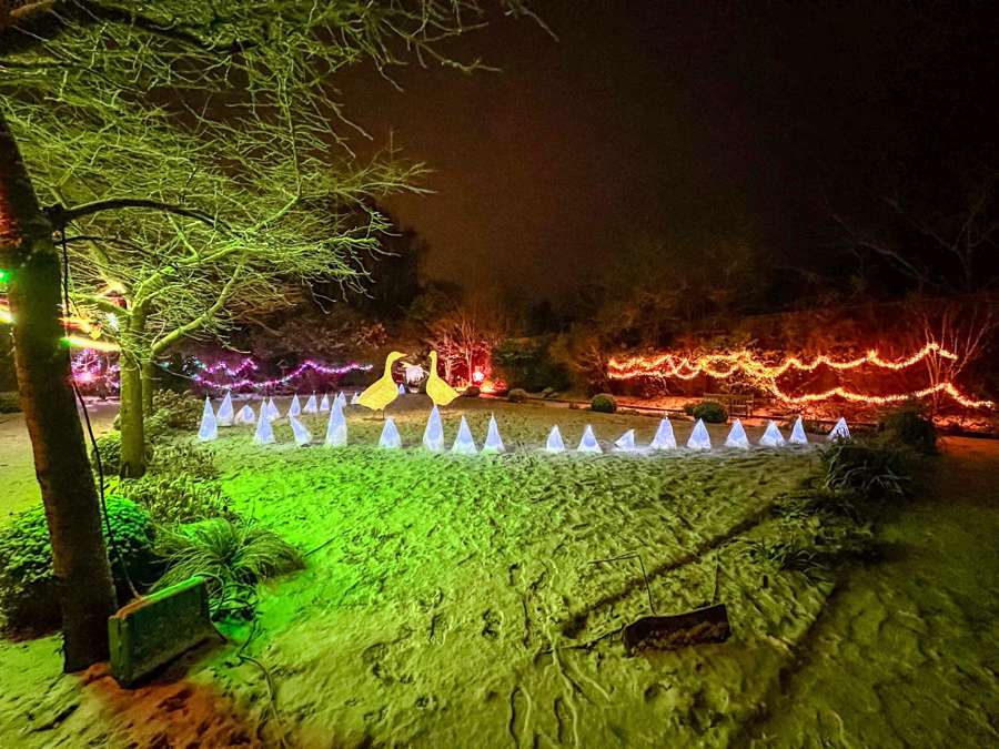 John Hall Wellness Gardens Christmas 5