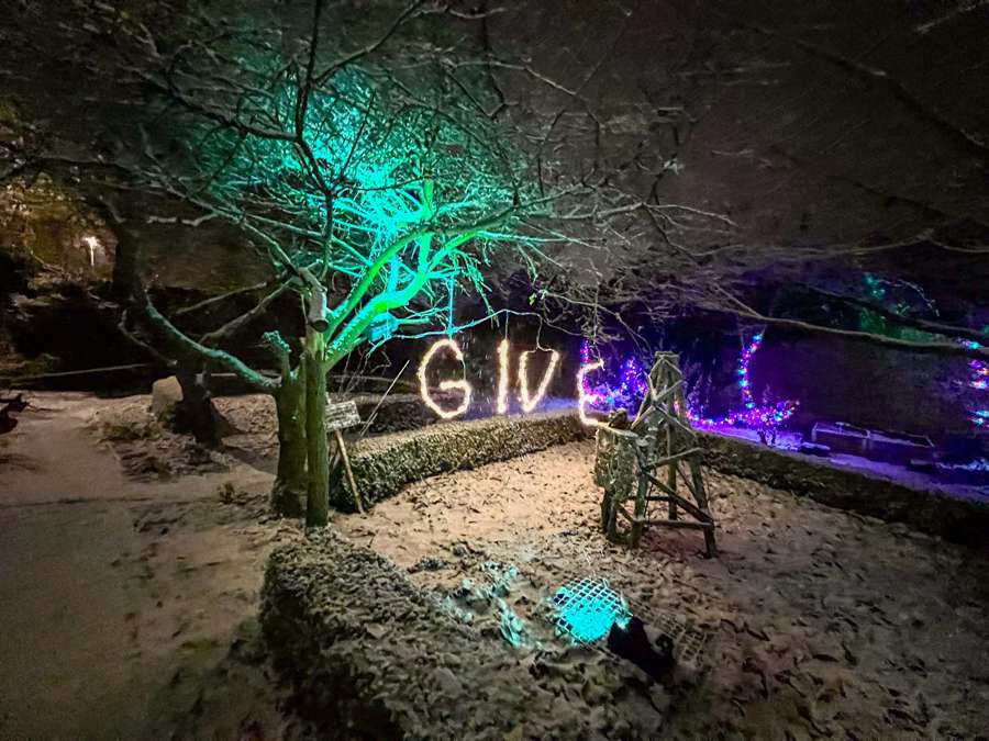 John Hall Wellness Gardens Christmas 6