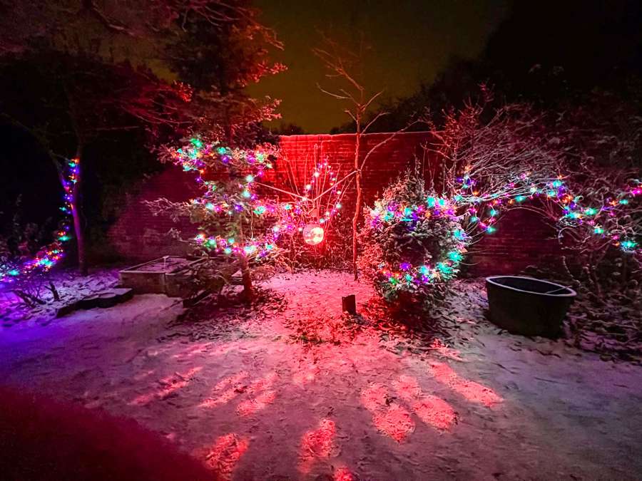 John Hall Wellness Gardens Christmas 7